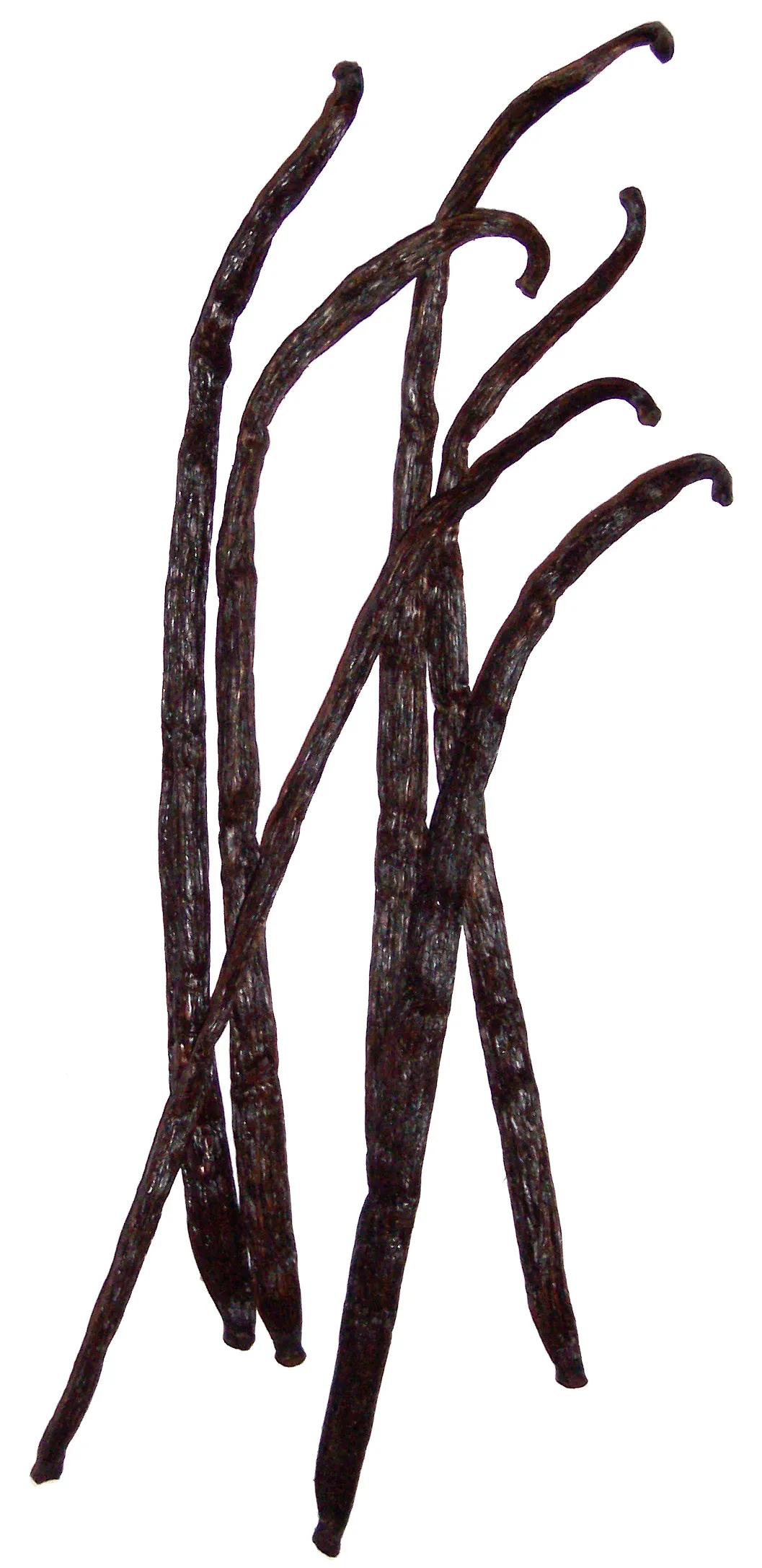 Minh hoạ Hương vani, dầu chuối