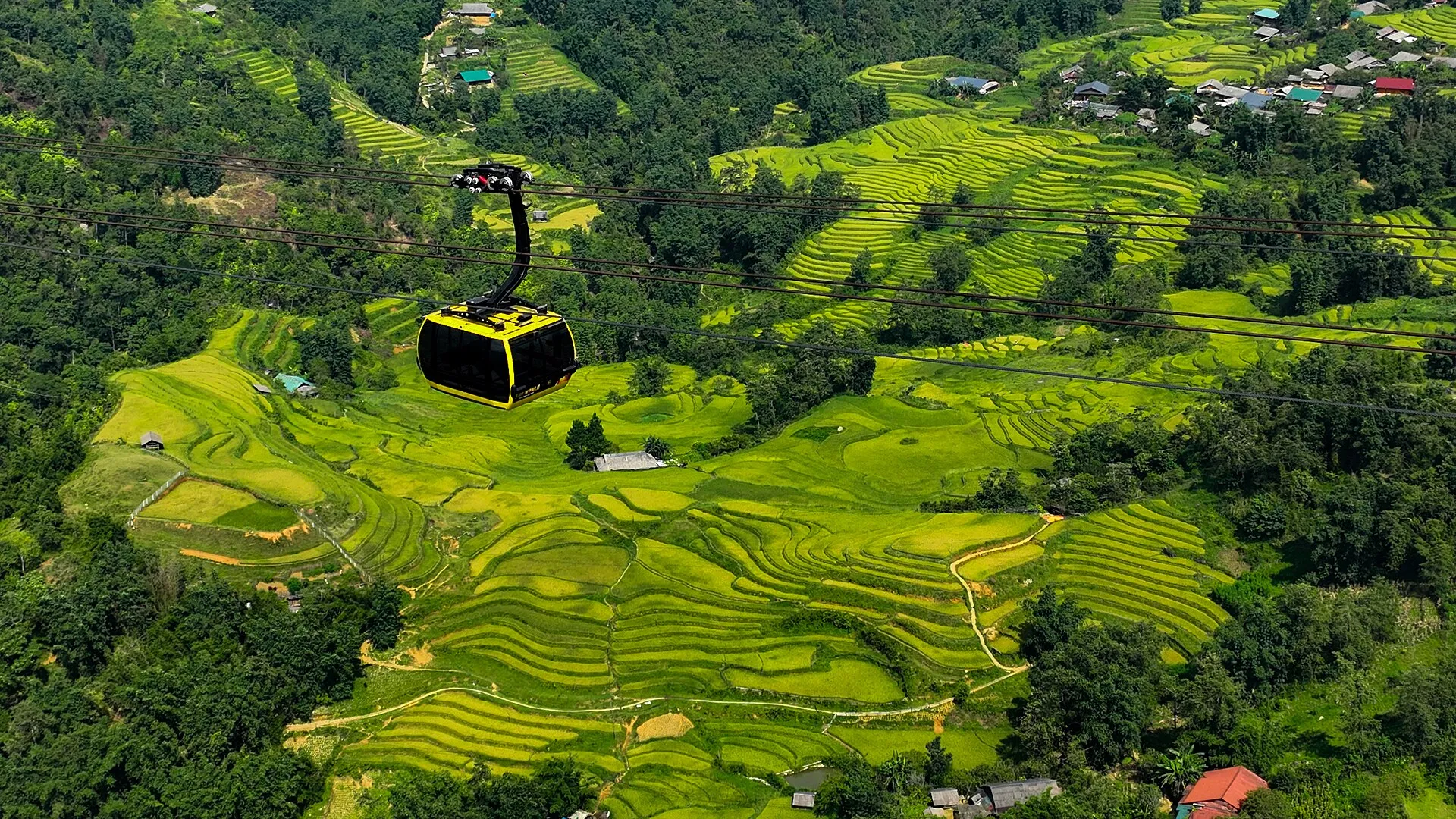 Ruộng lúa bậc thang Việt Nam, ảnh minh hoạ cho hạt nếp